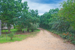 DSC03860